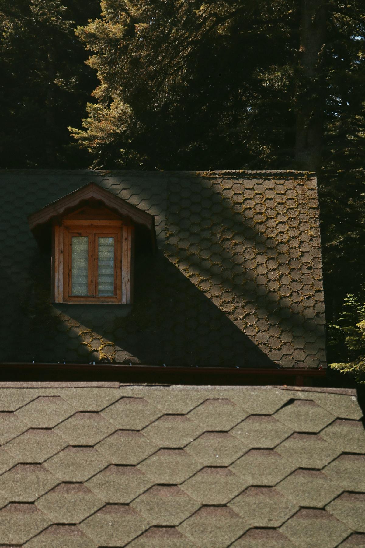 Close-up view of brown asphalt shingle roof